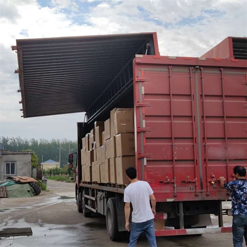 平乐县扎囊县：物流专线的高效货运之旅